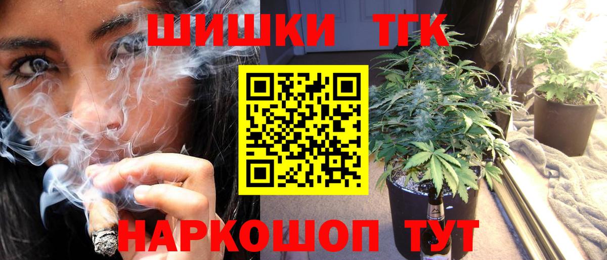 Конопля планчик Гай